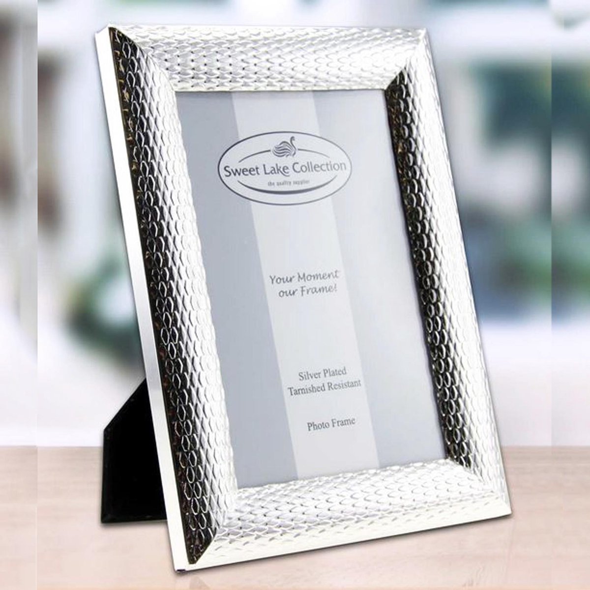 WALTHER DESIGN Fotolijst aluminium Alu Line zilver 20x30 cm kopen
