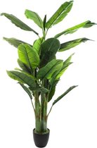 Atmosphera Kunstplant Bananenboom met pot - 116x116x168cm - Groen