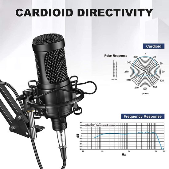 Kit microphone à Condensateur Professionnel pour Enregistrement Studio  sortie jack