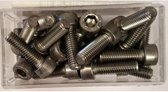 Inbusbout M5 X 16 RVS (25 Stuks) (214126)