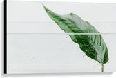 Canvas  - Groen Blad in Water - 90x60cm Foto op Canvas Schilderij (Wanddecoratie op Canvas)