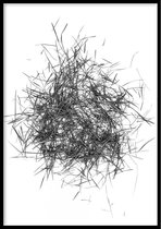 Affiche Blades of Grass Zwart Wit - 30x40 cm - Affiche Nature - WALLLL