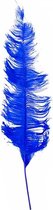 Witbaard Struisveer 50-60 Cm Blauw