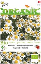 Buzzy Organic - Kamille BIO (Matricaria chamomilla)