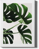 Walljar - Monstera Leaves - Muurdecoratie - Poster