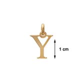 Blinx Jewels Vergulden Hanger Letter Y