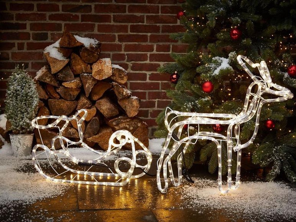 Kerstverlichting buiten en binnen Grote Rendier met Grote Slee 3D