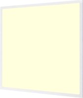 LED Paneel - Aigi Clena - Dimbaar - 60x60 - Warm Wit 3000K - 40W Inbouw Vierkant - Inclusief Stekker - Mat Wit - Flikkervrij - BSE