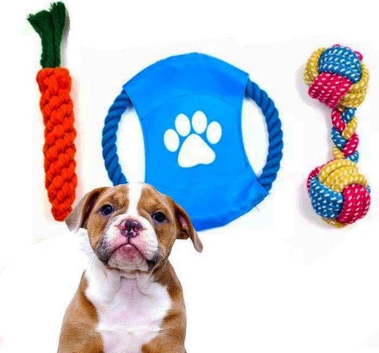 10-Delige Honden Speelgoed set - Puppy speelgoed - Hondenspeelgoed - Hondenspeeltjes | bol.com