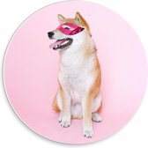 Forex Wandcirkel - Hond met Roze Masker Op - 30x30cm Foto op Wandcirkel (met ophangsysteem)