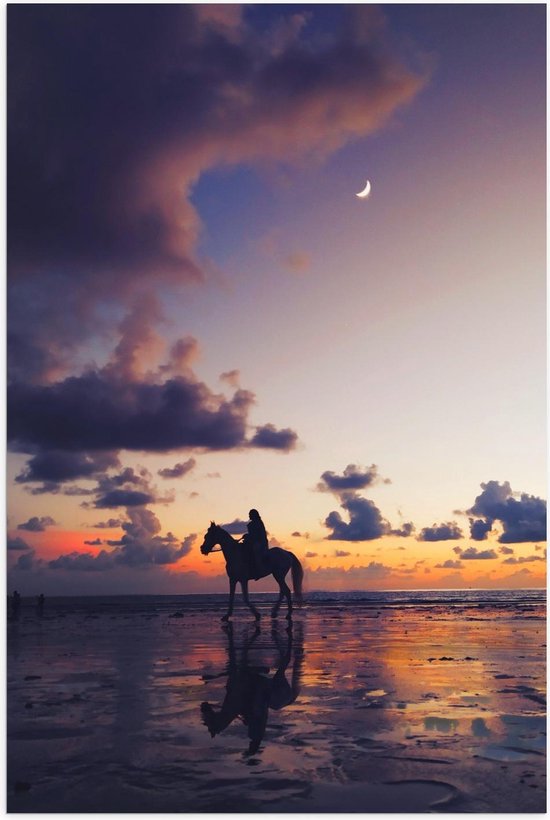 Poster - Paard aan Zee met Zonsondergang - Foto op Posterpapier