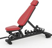 Trainingsbank Dione Pro-Gym TB5500