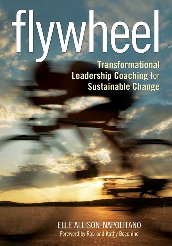 Flywheel - cover