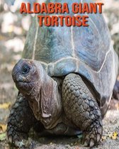 Aldabra Giant Tortoise