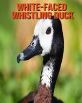 White-Faced Whistling Duck