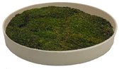 Mosschilderij Julia Natural White ø 50 cm Platmos