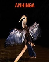 Anhinga