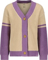 Harper The New Chapter D401-0312 Unisex Vest - Lavender mist - Maat 92