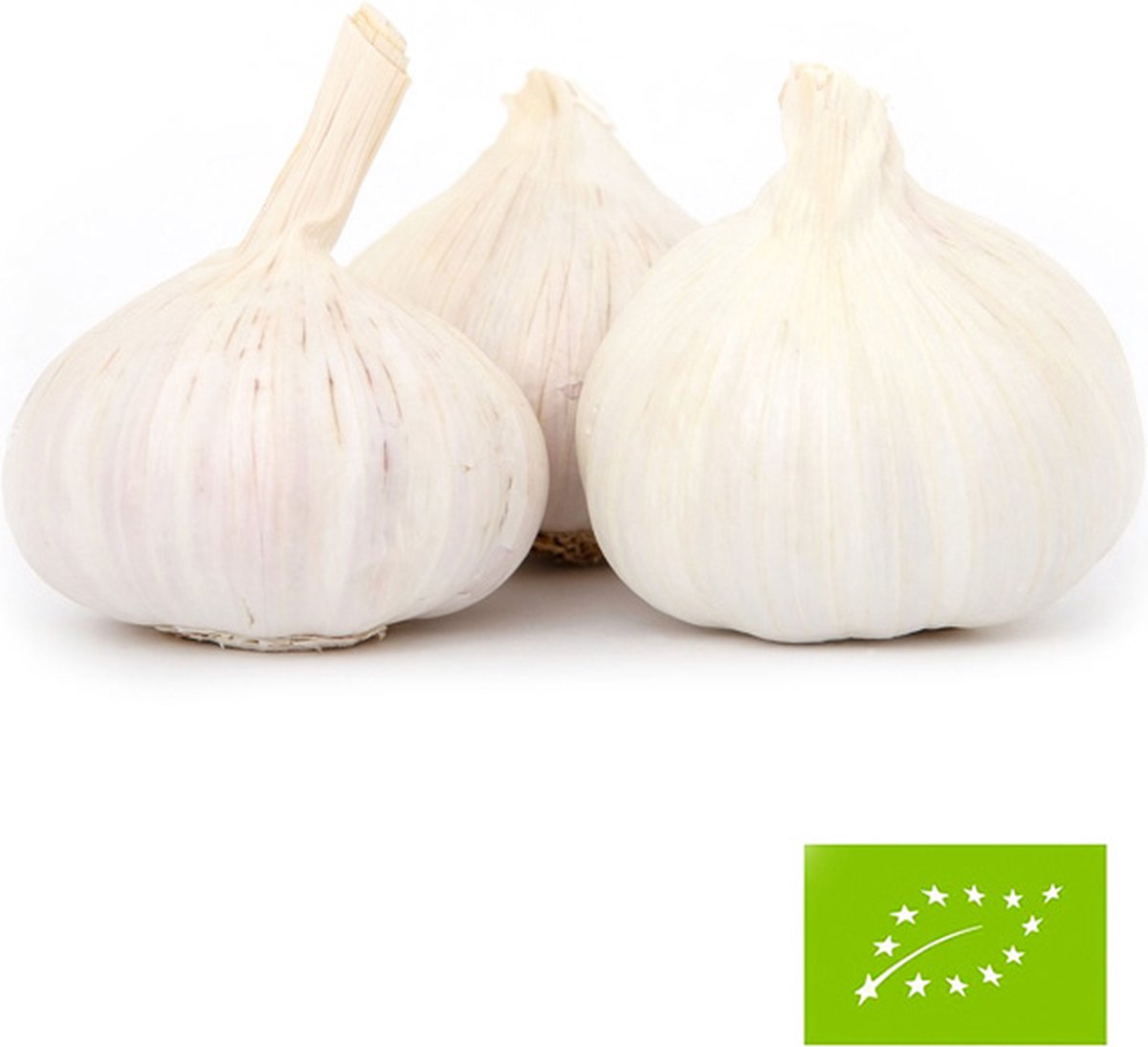 BIO plantknoflook wit- 3 bollen witte plantknoflook - biologische knoflook