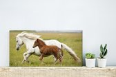 Wanddecoratie Metaal - Aluminium Schilderij Industrieel - Paarden - Dieren - Gras - 40x20 cm - Dibond - Foto op aluminium - Industriële muurdecoratie - Voor de woonkamer/slaapkamer
