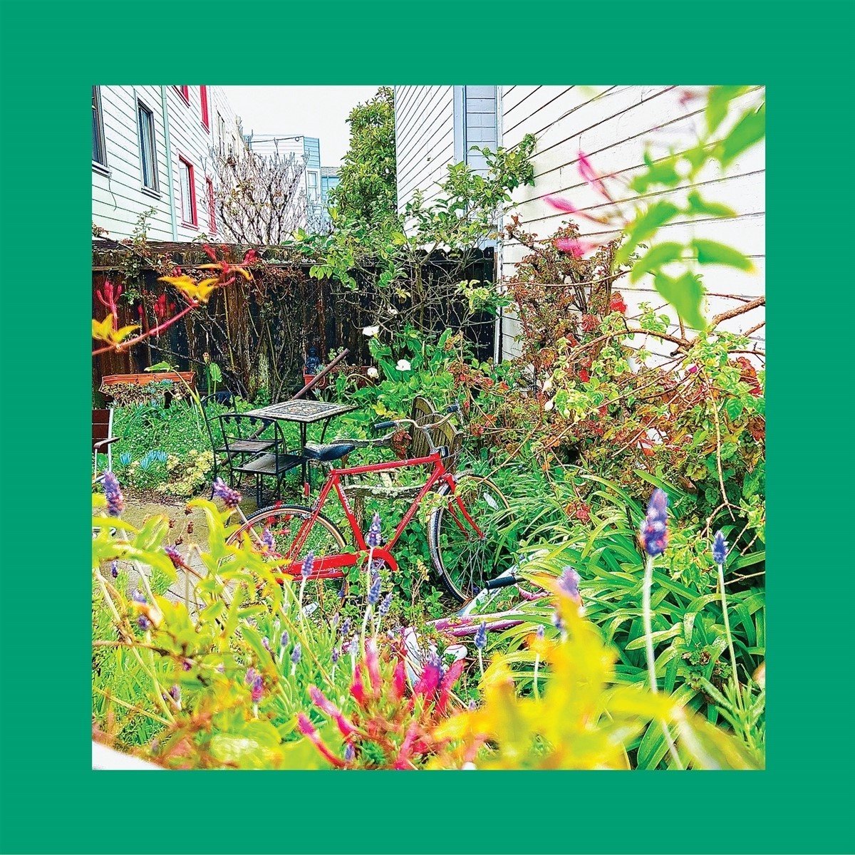 The Reds, Pinks And Purples - Unwishing Well (CD)