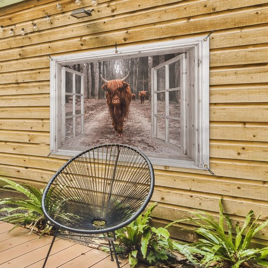 Een schotse hooglander kijkt uit een raam aan de gevel van een houten schuur.