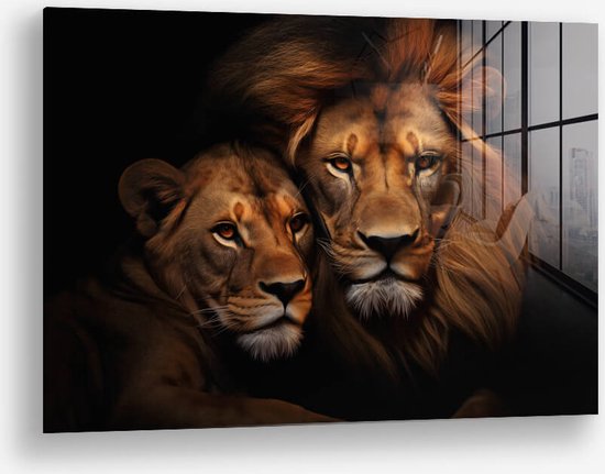 Wallfield™ - Lion Couple HZ | Glasschilderij | Gehard glas | 80 x 120 cm | Magnetisch Ophangsysteem