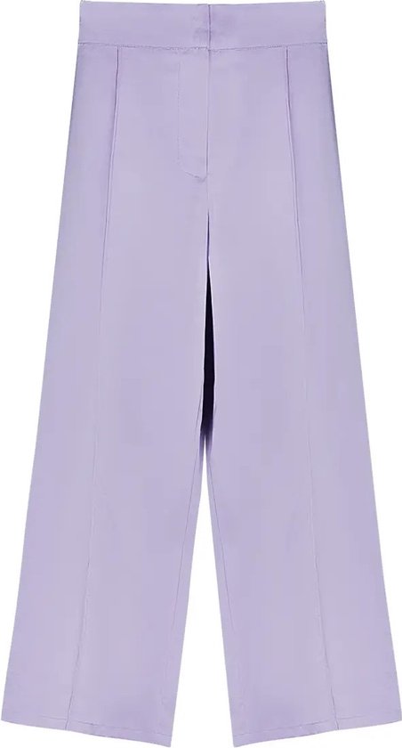 Pantalon glimmende stof - dames broek - paars