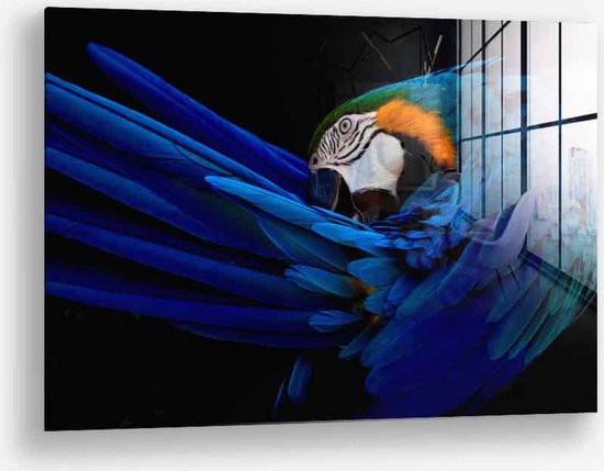 Wallfield™ - The Parrot | Glasschilderij | Muurdecoratie / Wanddecoratie | Gehard glas | 60 x 90 cm | Dieren schilderijen | Papegaai Woonkamer / Slaapkamer Schilderij | Kleurrijke Vogel | Modern / Industrieel | Magnetisch Ophangsysteem