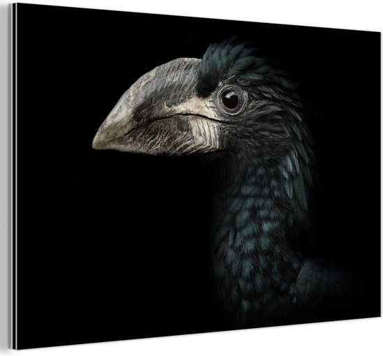 Décoration murale Métal - Peinture Aluminium Industrielle - Vogel - Portrait - Calao - Zwart - Animaux - 180x120 cm - Dibond - Photo sur aluminium - Décoration murale industrielle - Pour le salon / chambre