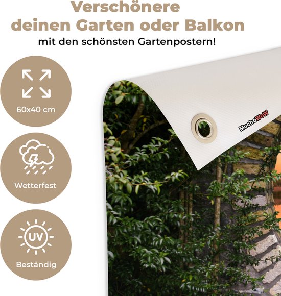 Affiche de jardin - Lac - Vue à travers - Soleil - Water - Toile de clôture - 60x40 cm - Peinture de jardin - Toile de jardin