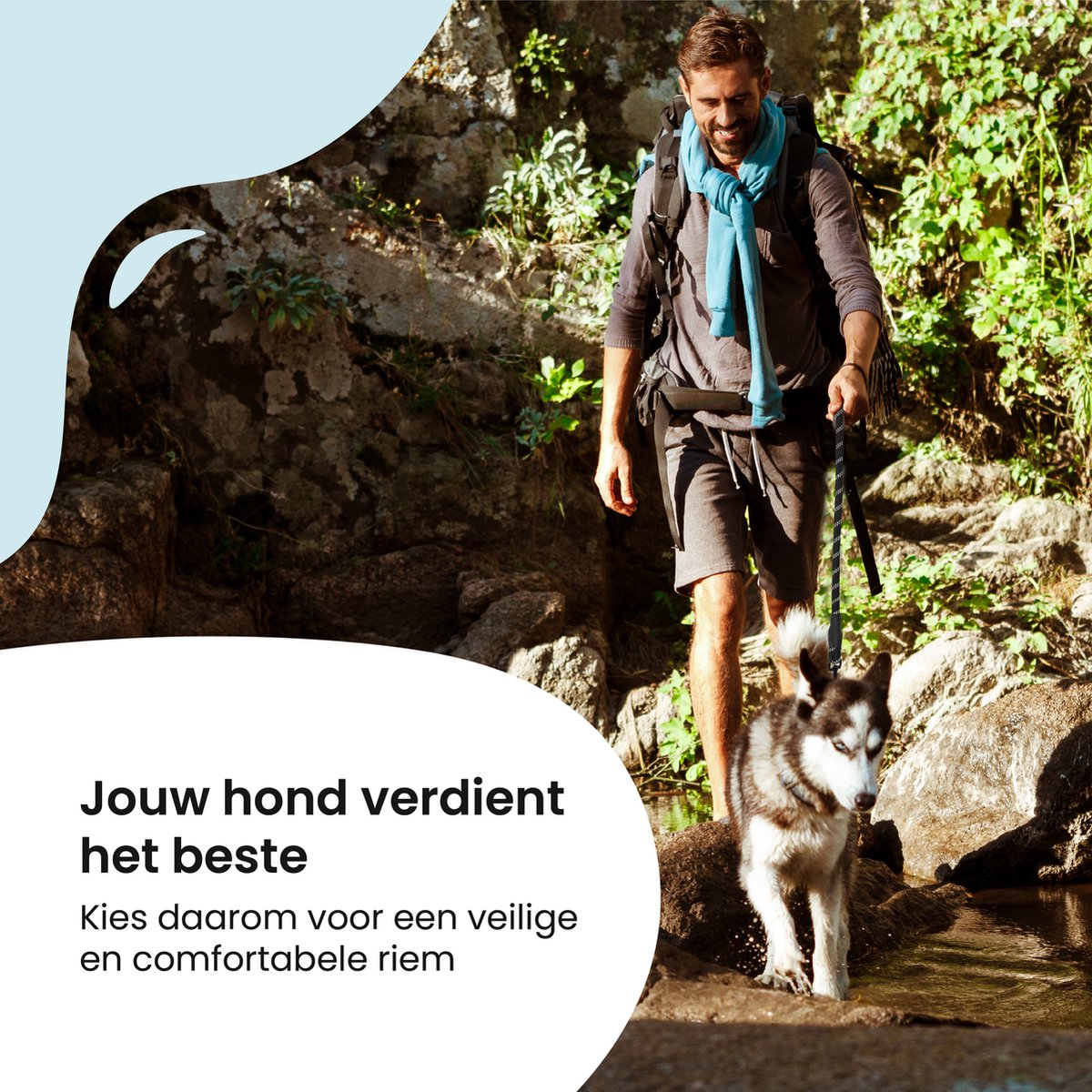 All All 4 Pets Supply Hondenriem - afbeelding 3