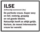 Ilse Woordenboek Fotolijst met glas 30 x 40 cm - Prachtige kwaliteit - jarig - verjaardag - kado - Canvas - incl ophangsysteem - Poster - Grappig - cadeau