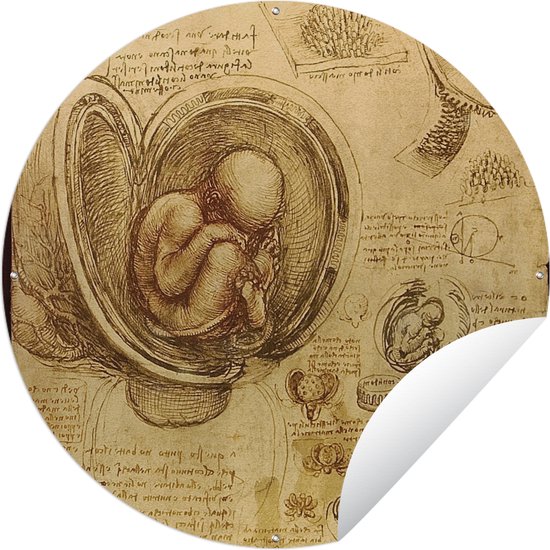 Tuincirkel Baby in the womb - Leonardo da Vinci - 150x150 cm - Ronde Tuinposter - Buiten