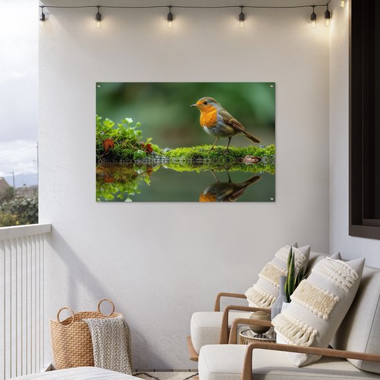 Tuinposter 120x80 cm - Tuindecoratie Roodborstje - Vogels - Natuur - Groen - Vogel - Poster voor in de tuin - Buiten decoratie - Schutting tuinschilderij - Tuindoek muurdecoratie - Wanddecoratie balkondoek