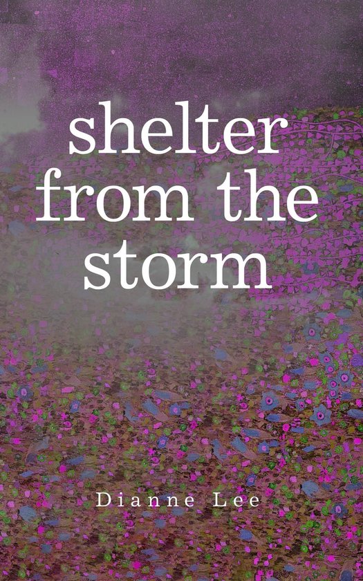 Shelter from the Storm - cover