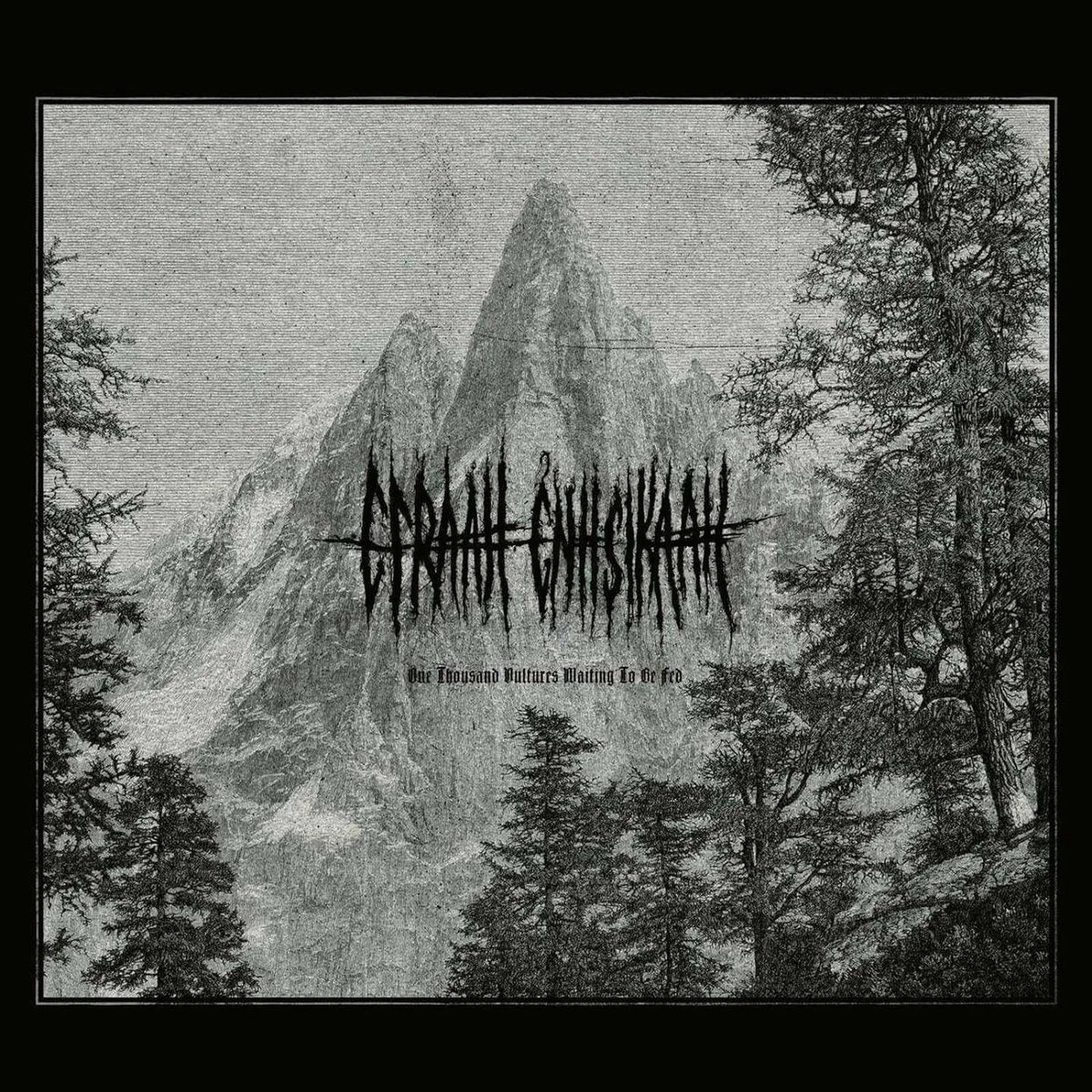 Efraah Enhsikaah - One Thousand Vultures Waiting To Be Fed (CD)
