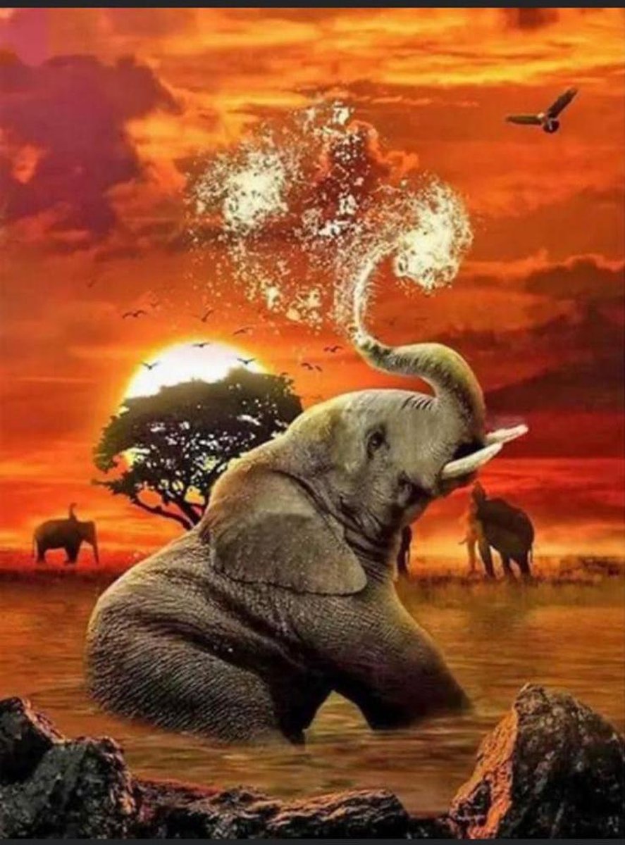 Topmo Olifant Horizon 40 x 50 CM Diamond painting pakket HQ Diamond Painting VOLLEDIG dekkend Diamant Schilderen voor Volwassenen – ROND