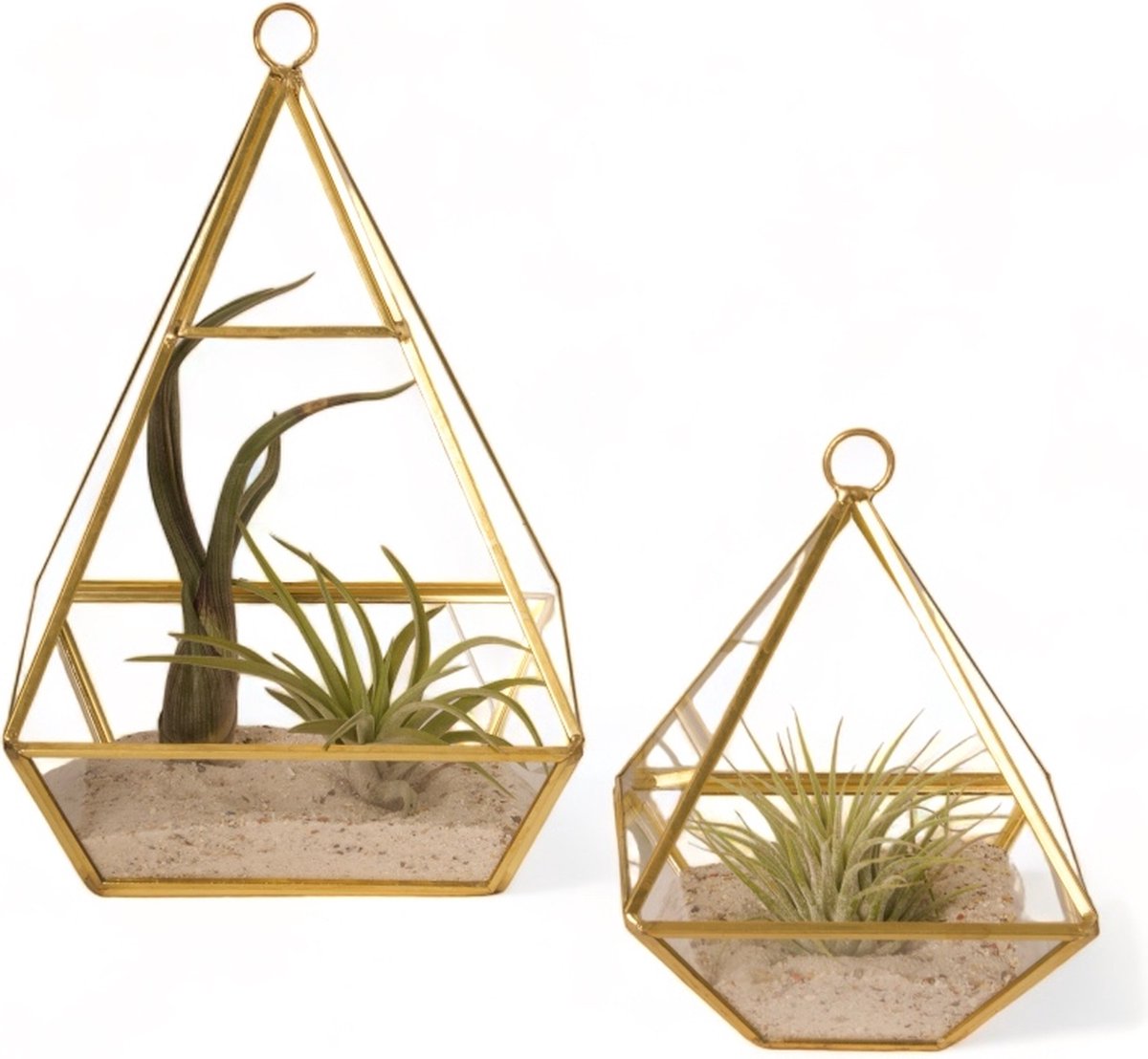 WinQ- Terrarium Piramide goud/glas S/2 - 2 maten 10x14/ 13,5x21cm- voorzijde open-inclusief koord om op te hangen