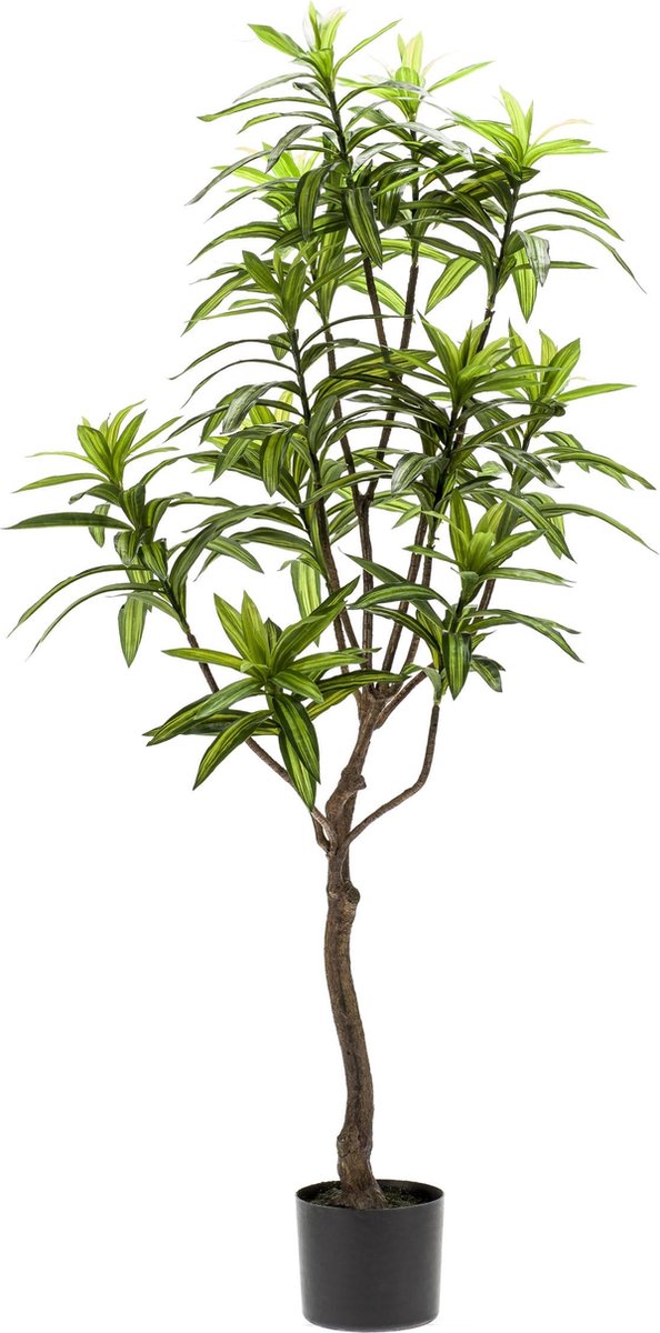 MaatShopXL Kunstplant Dracaena Drakenboom