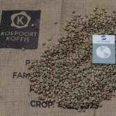 El Salvador Arabica -ongebrande groene koffiebonen - 1 kg