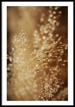 Poster Druppels - Natuur poster - 50x70 cm - exclusief lijst - WALLLL