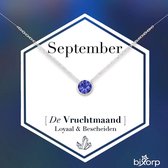 Collier Bixorp avec pierre de naissance septembre - Acier inoxydable argenté avec pendentif zircone - Acier inoxydable - Saphir