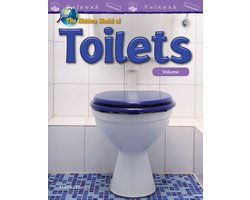 Mathematics in the Real World - The Hidden World of Toilets