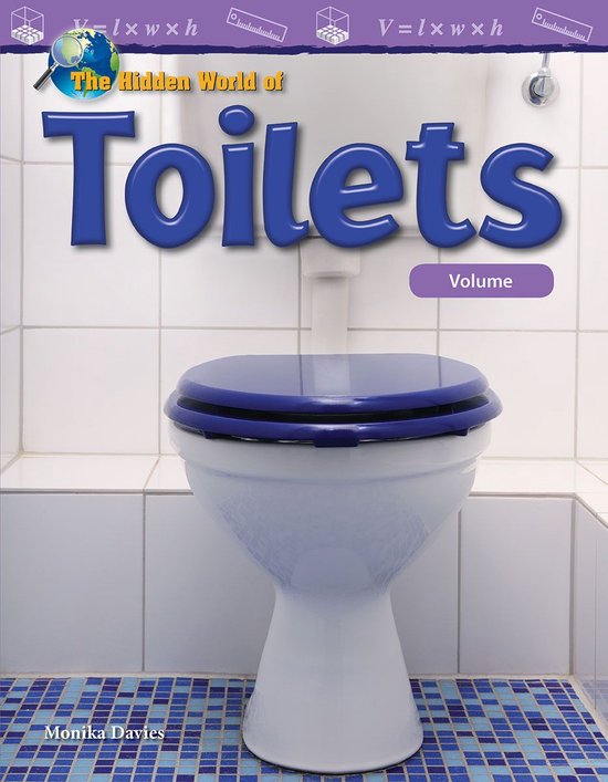 Mathematics in the Real World - The Hidden World of Toilets