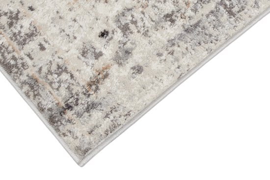 Tapiso Valley Tapis Salon Chambre Gris Clair Cadre Design Moderne Fleurs Durable Vintage Haute Qualité Tapis Taille - 200x300