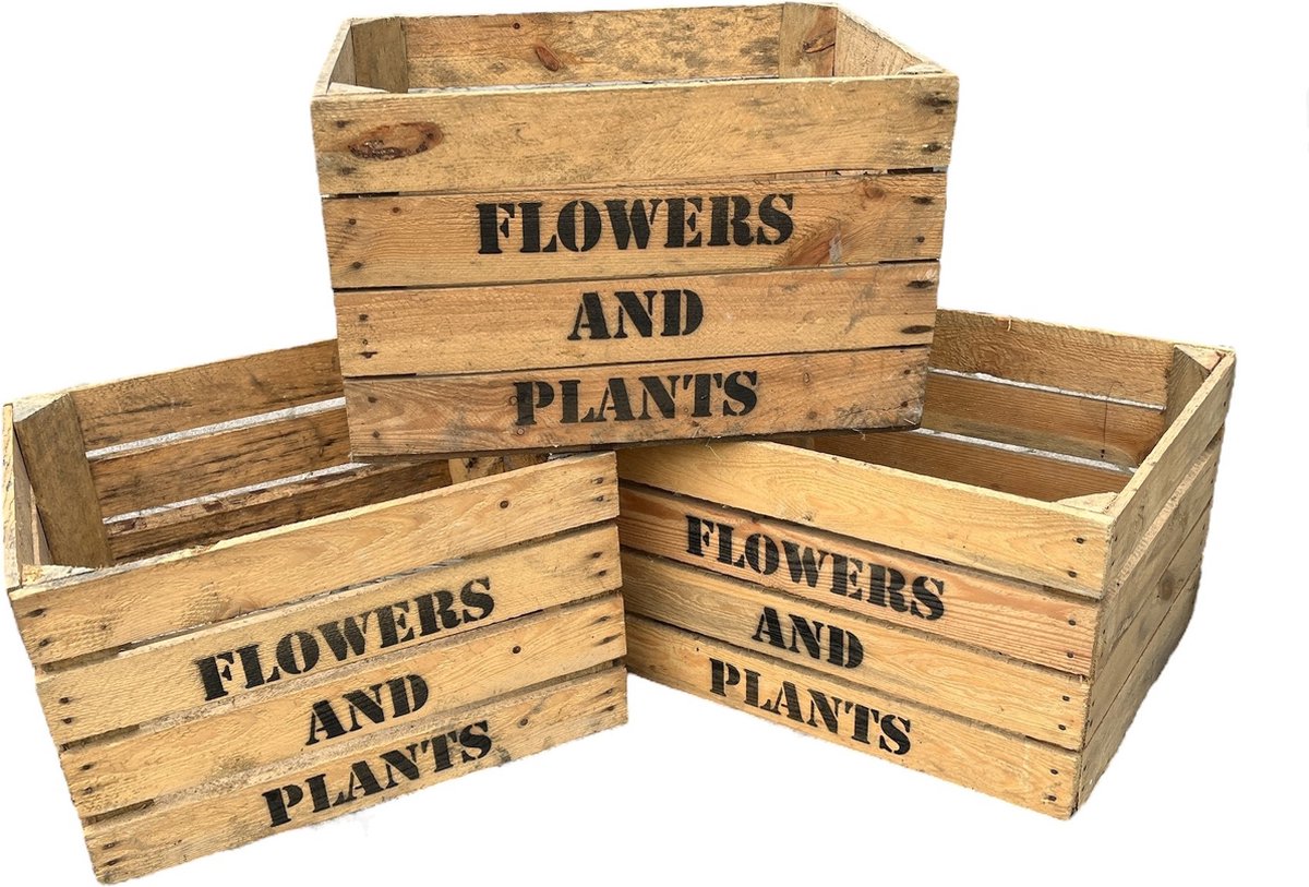 Fruitkist (Gebruikt) - Flowers and Plants