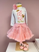 outfit d'anniversaire - Kit d'anniversaire - 5 ans - Cinquième anniversaire - Numéro - naam eigen - Jupon - Robe d'anniversaire - Fille - Fille - Robe d'anniversaire - Minnie - Soirée à thème - Kit de séance photo Dottie (taille 110/116)