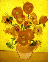 5D Diamond Painting Volwassenen - Zonnebloemen - Vincent van Gogh - Fotoformaat 50x70cm - Volledige Set – Inclusief Pen Schudbakje Wax Opbergzakjes en Wit Stickers - Ronde steentjes