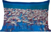 Buitenkussens - Flamingo - Water - Tropisch - Water - Roze - 60x40 cm - Weerbestendig